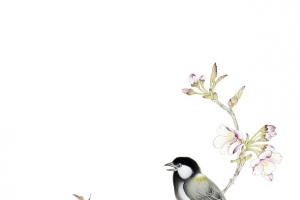 鸟语花香