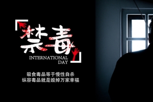 国际禁毒日公益宣传banner海报