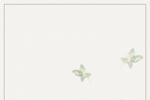 清新金银花药材花茶海报