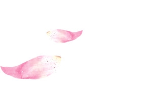 漂浮的花瓣