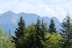 树 草 山 风景 自然 4k壁纸 3840x2160
