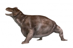 肥胖的角头兽灭绝生物实物