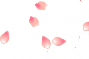 粉色暖冬创意花瓣