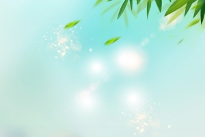 中国风端午节促销海报
