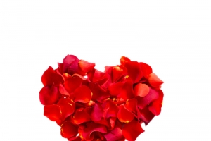 爱心红色玫瑰花瓣高清PNG透明漂浮设计素材免费下载