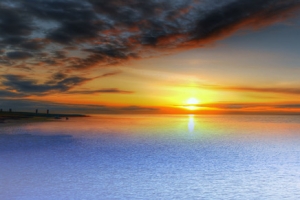 夕阳西下天鹅水面背景