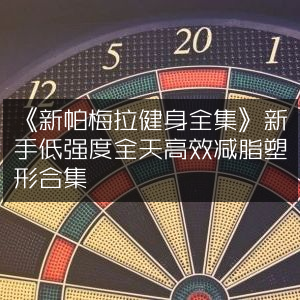 《新帕梅拉健身全集》，专为新手打造的低强度全天高效减脂塑形宝典