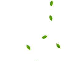 春天卡通漂浮树叶个性