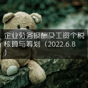 2022年6月8日企业劳务报酬及工资个税核算筹划指南