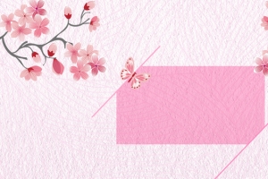 日系简约樱花主题粉色背景图