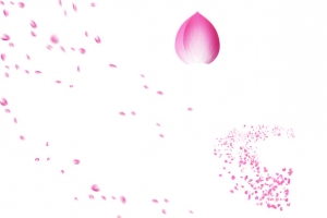 粉色飘零花瓣