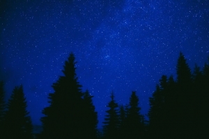 棵树 星空 夜晚 深色 蓝色 4k壁纸 3840x2160