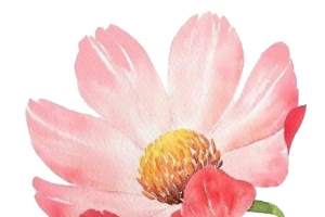 红色小花矢量素材
