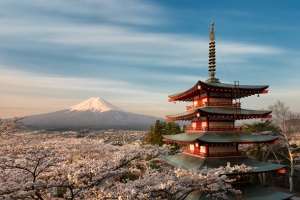 日本阁楼樱花海报背景