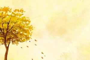 简约黄色秋季banner
