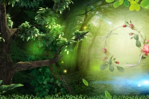 森林之光海报banner