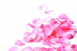 粉色花瓣