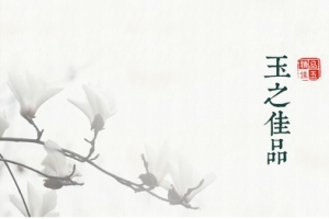 淘宝文艺简约小清新玉兰白色背景