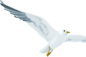 夏日海边海鸥高清PNG透明装饰素材免费下载