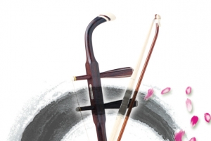 水墨二胡花瓣