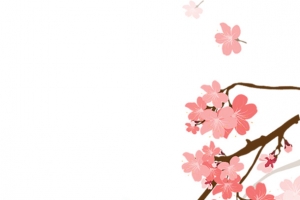 树枝上的粉色樱花