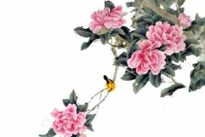 花鸟图