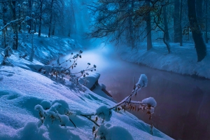 冬天,雪,河流,树木,森林,风景图片