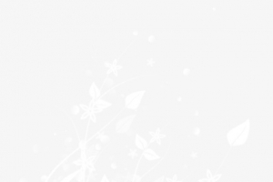 冬季冰凌雪花