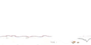 双旦节日雪人封面