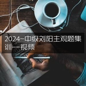 2024中级刘阳主观题强化集训视频