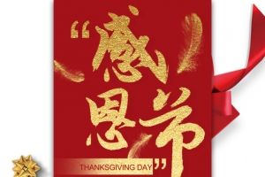 感恩节丝带花瓣礼盒羽毛