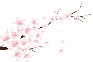 花枝