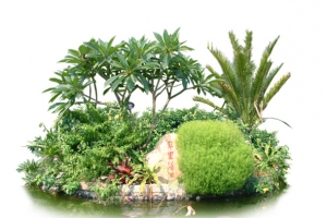 园林绿植后期素材