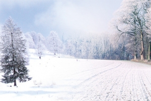 冰天雪地背景