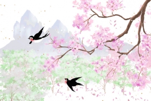 樱花远山燕子树枝