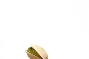 开心果