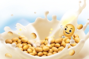 豆奶