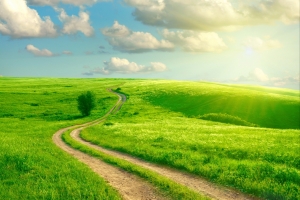 道路 草地 天空 云 4K风景壁纸