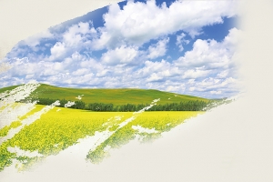 乡村气息油菜花踏青季旅游风景海报背景