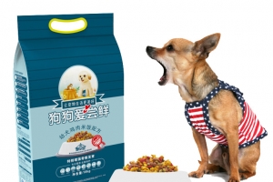 小狗狗粮促销设计素材