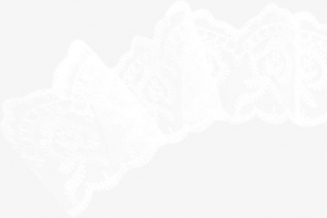 蕾丝素材图片