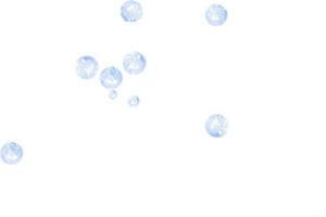泡泡