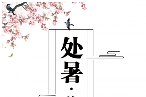 处暑夏季荷花柳树花朵鸟