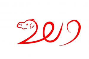 2019钢笔手绘小猪