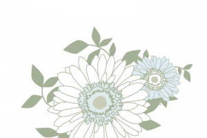 白色的花