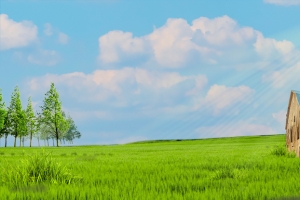自然田园风景图片