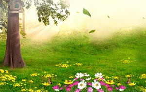 卡通森林草地背景