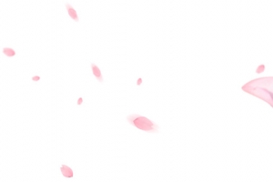 粉红花瓣不规则漂浮