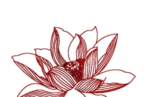 荷花刺绣纹理装饰图案