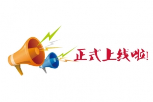 正式上线啦